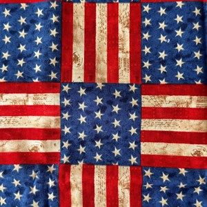 Tecido importado - Bandeira Estados Unidos