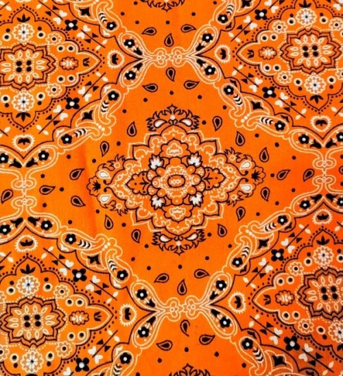 Tecido Paisley Laranja 